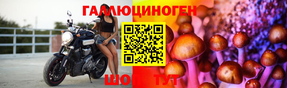 Галлюциногенные грибы Psilocybine cubensis Свободный