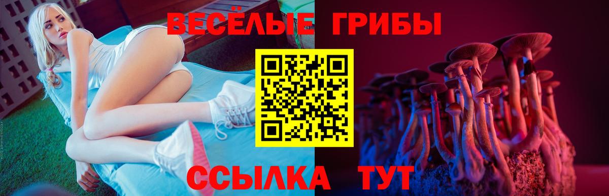 Свободный  Псилоцибиновые грибы прущие грибы  Вход с VPN  Галлюциногенные грибы прущие грибы 