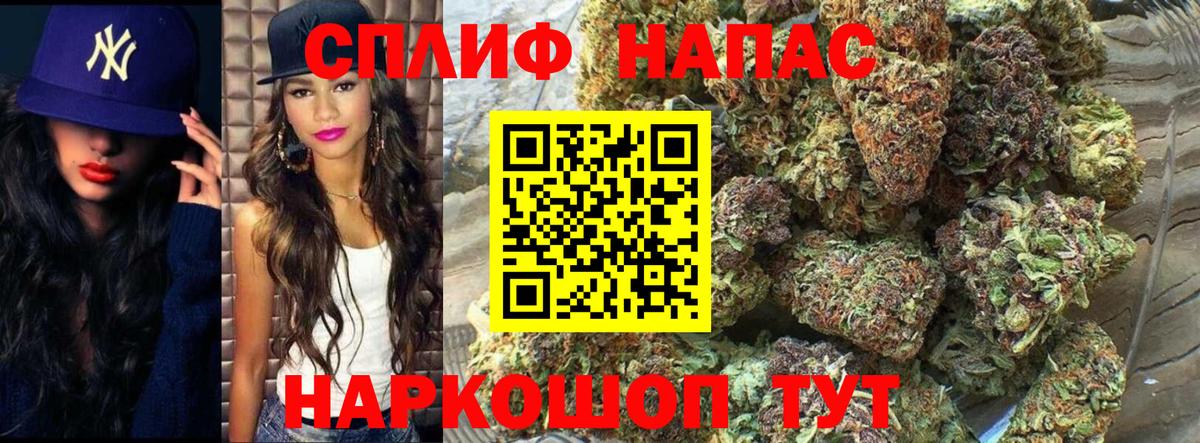 Свободный  Канабис ГИДРОПОН  Вход с VPN  Шишки марихуана сатива 